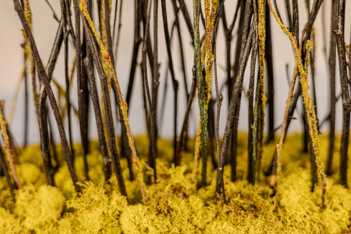 Detail 03