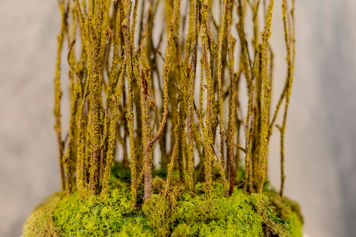 Detail 02