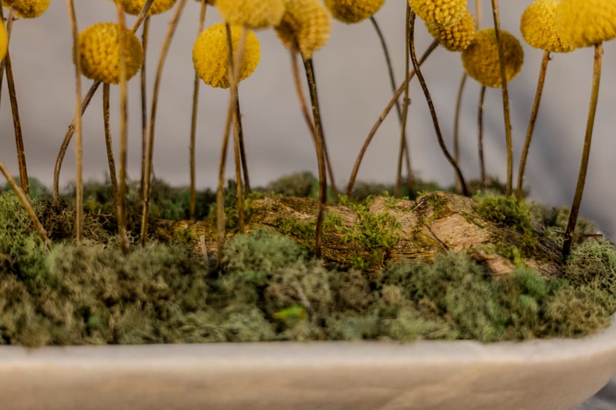 Detail 03