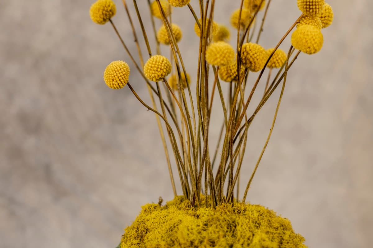 Detail 02