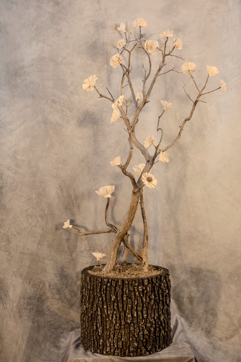 Kodama