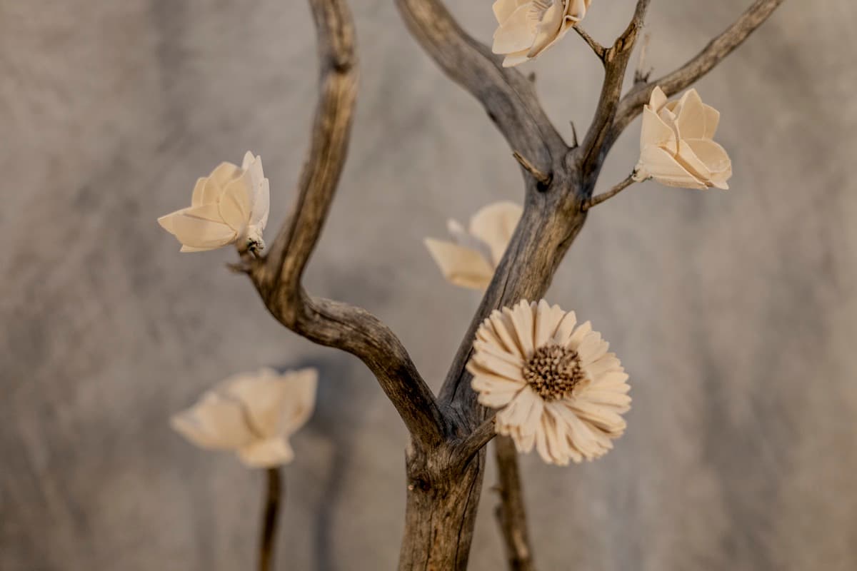 Detail 04