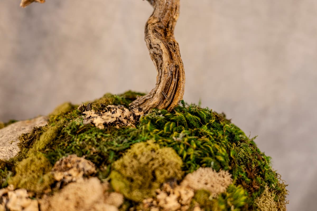 Detail 03