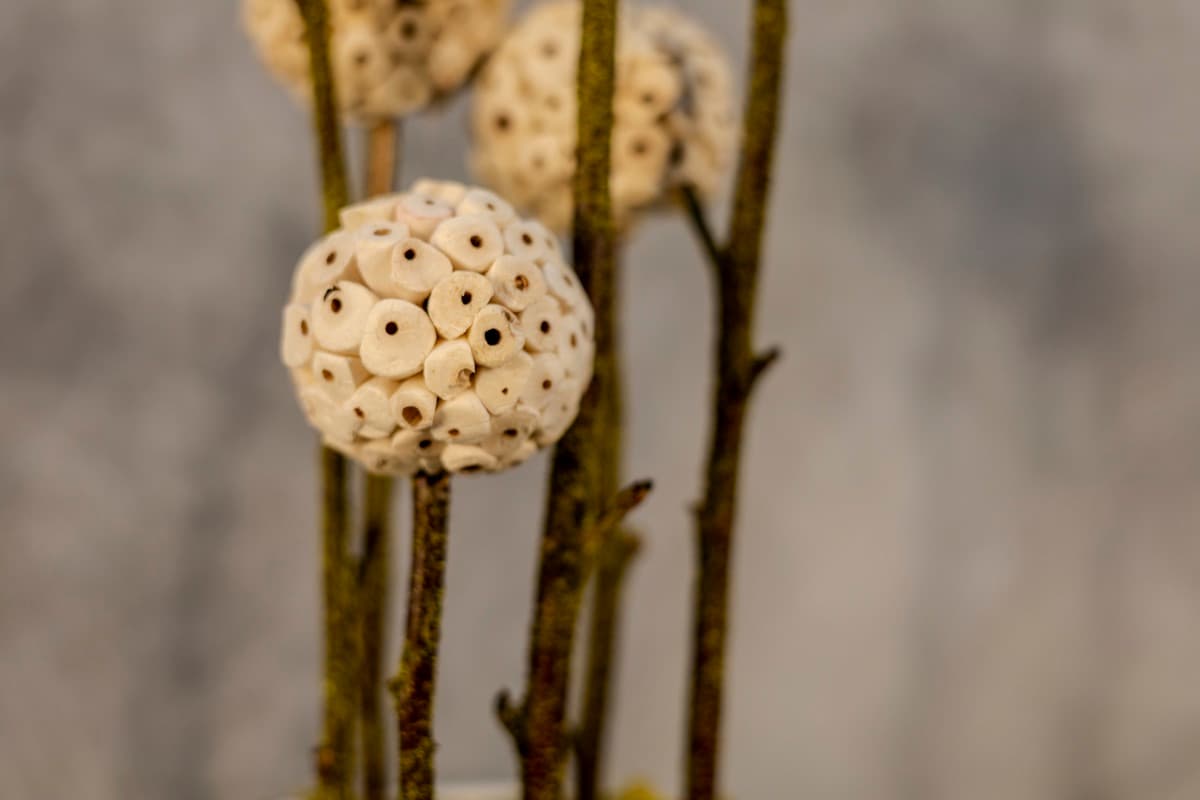 Detail 03